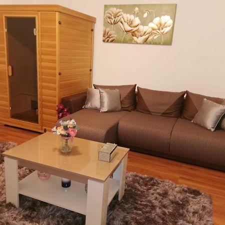 Apartament Asiral Apartment Brasov Bagian luar foto